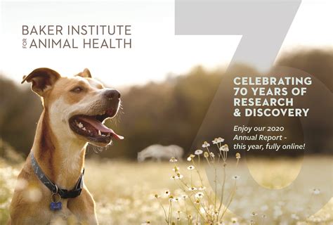 baker institute for animal health|baker institute directory.